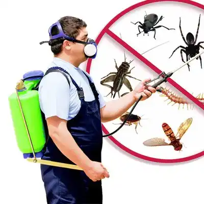 pest control Adamstown